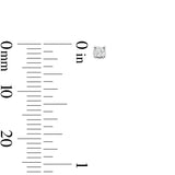 Pre-Owned Kay 1/10ct tw Round Solitaire Diamond Earrings in 14k White Gold