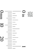 Pre-Owned Kay 1/3ct tw Round Diamond Solitaire Earrings in 14k White Gold