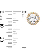 Kate Studs in Gold & Clear