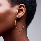 Lindsey Thin Hammered Hoops in Semi Matte 12k Gold Plating