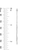 Lindsey Thin Hammered Hoops in Semi Matte Silver Plating