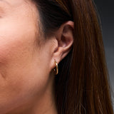 Everyday Textured 17mm 14K Solid Yellow Gold Hoops